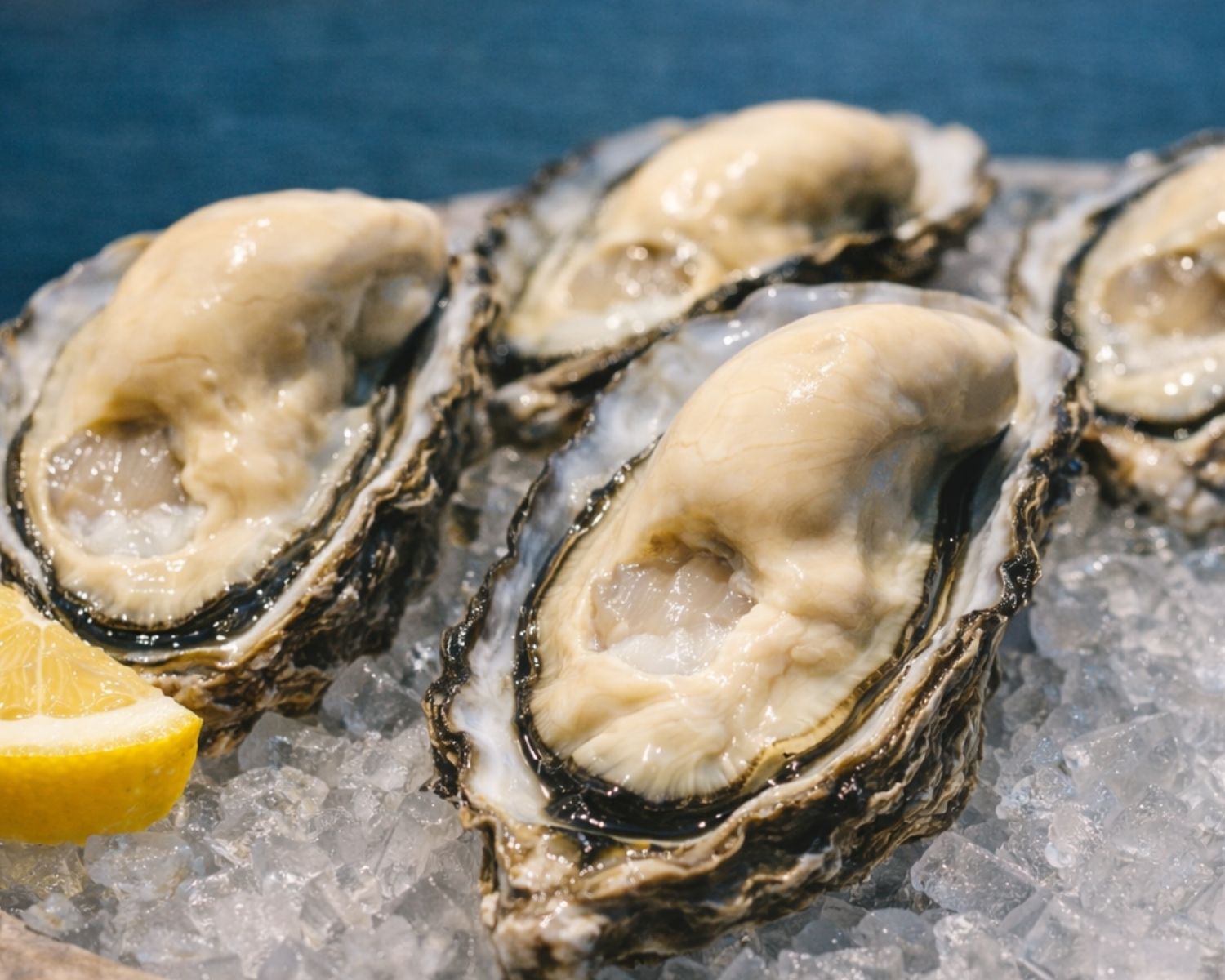 最新の養殖技術で肉厚・プリップリ・濃厚に仕上げたブランド真牡蠣